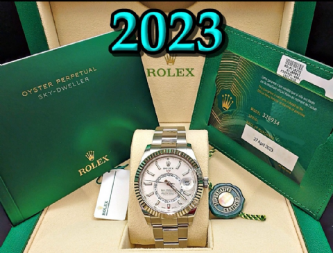 Rolex Sky Dweller Stainless Steel Watch 2023